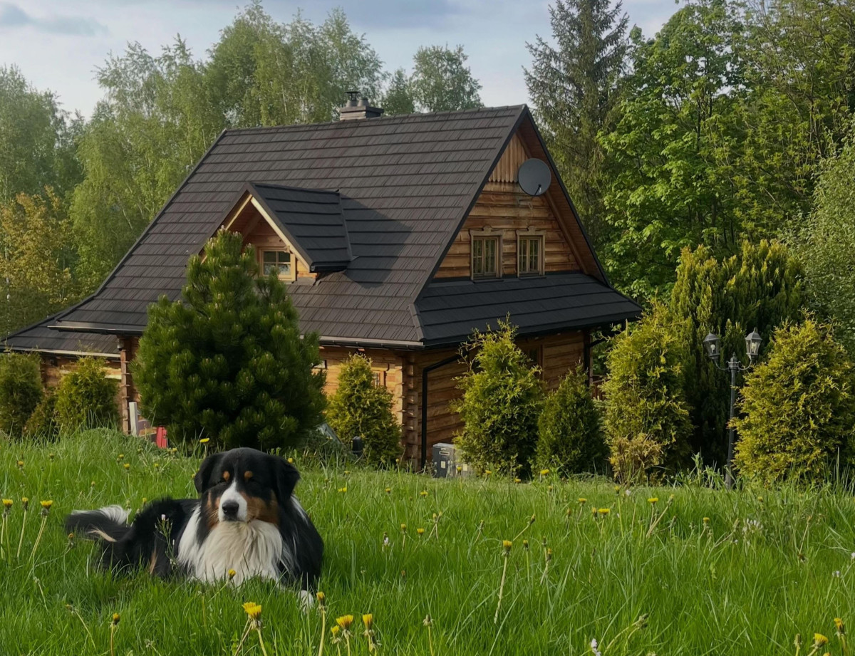 Nie zostawiaj przyjaciela w domu – Mosorny Park zaprasza z pupilem